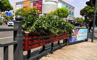 1614912402443316.jpg 長條花箱.jpg