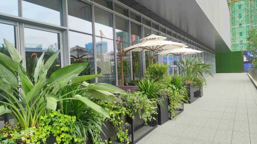 1675043671757403.jpg 花箱