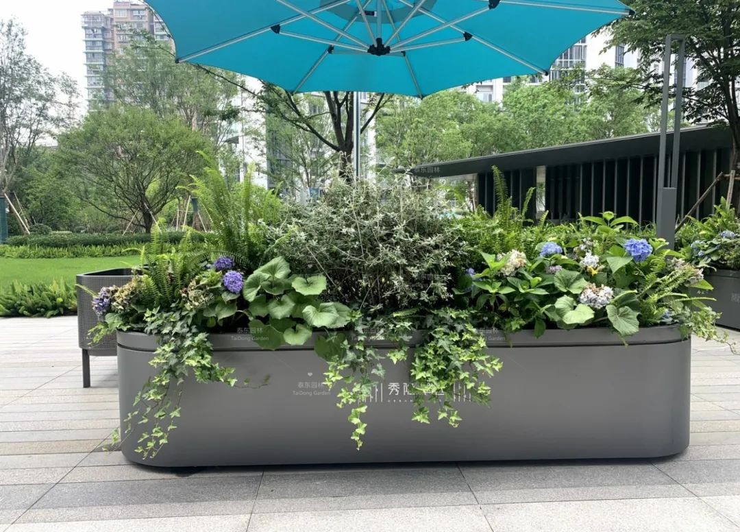 1675043765767944.jpg 花箱