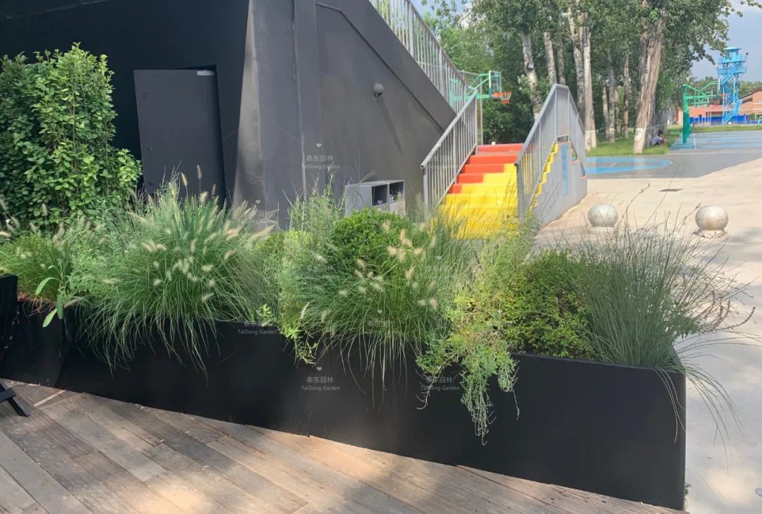 1675043766537403.jpg 花箱