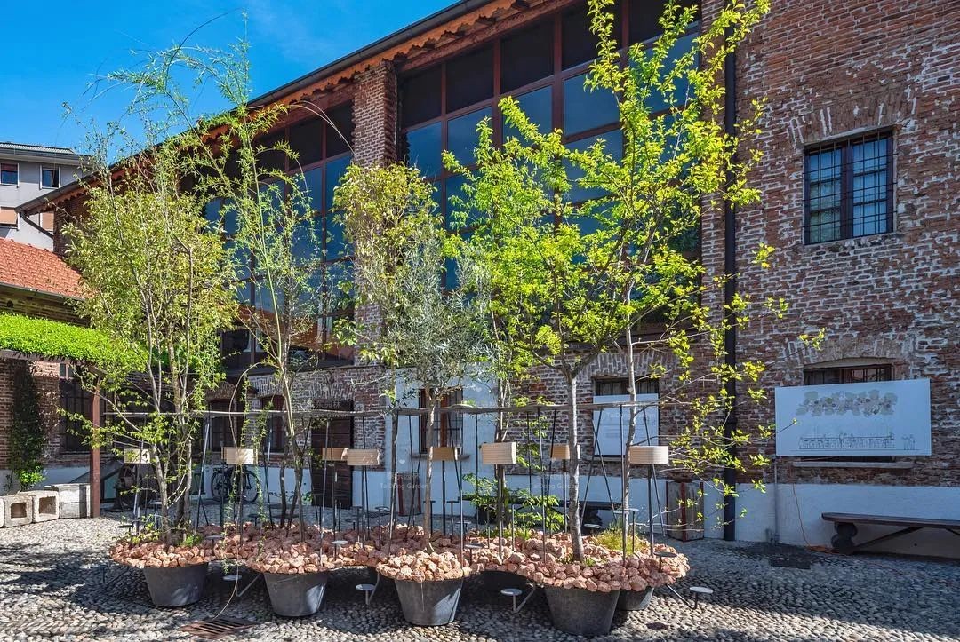 1675043933419055.jpg 花箱