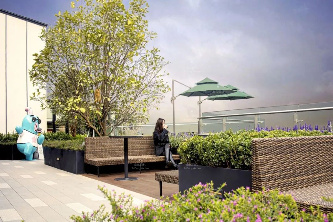 1675043933558189.jpg 花箱