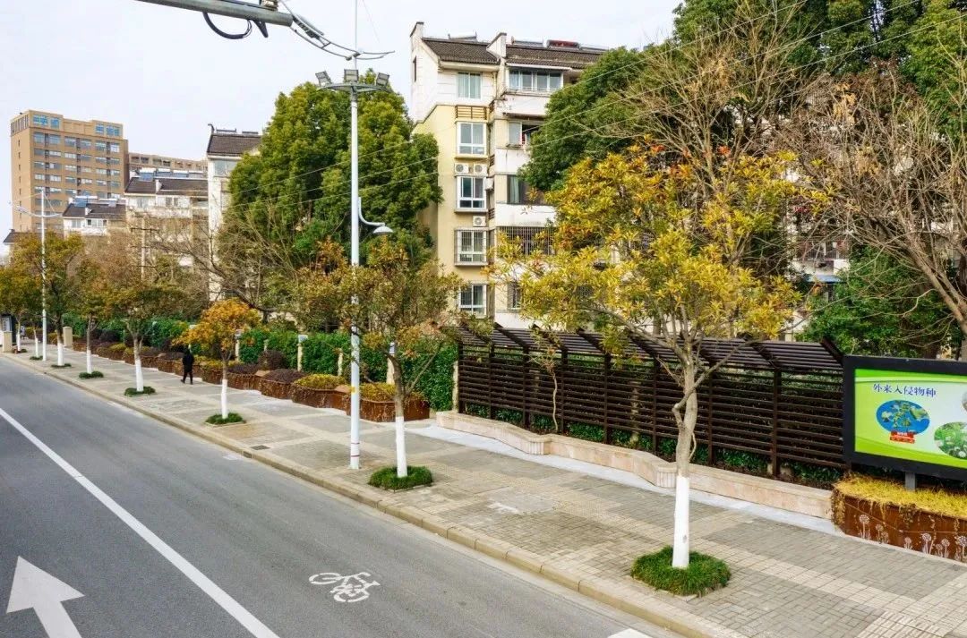 1676093650695170.jpg 11.jpg