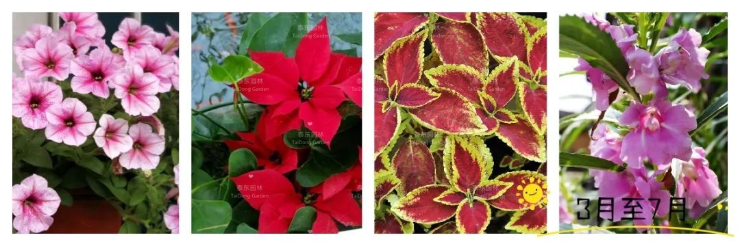 1675215139573045.jpg 5.jpg