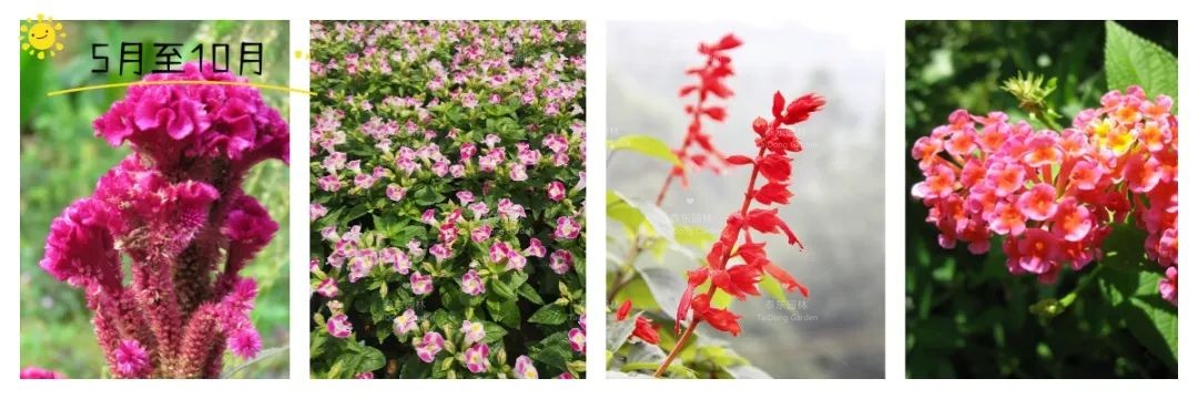 1675215188701942.jpg 6.jpg