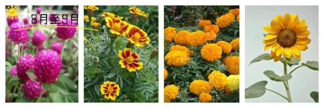 1675215223100895.jpg 7.jpg