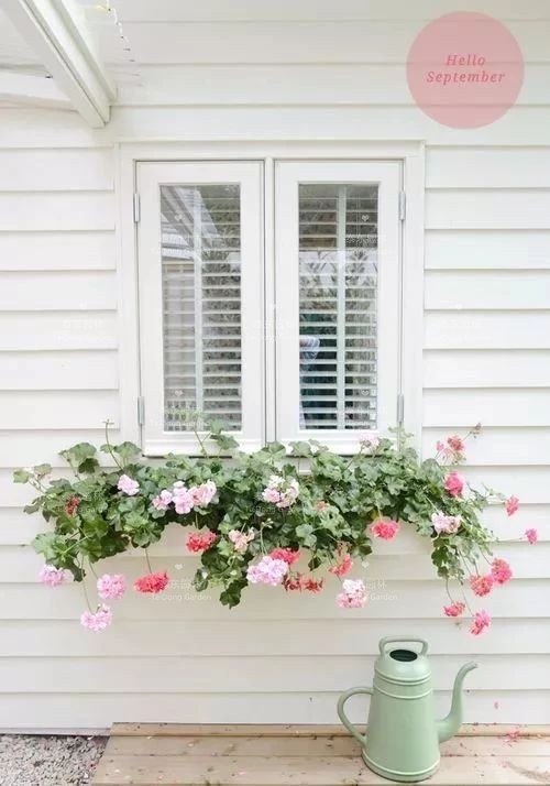 1676005796901370.jpg 花箱