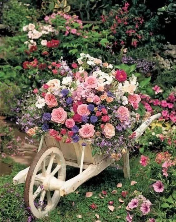 1676005902741618.jpg 11.jpg