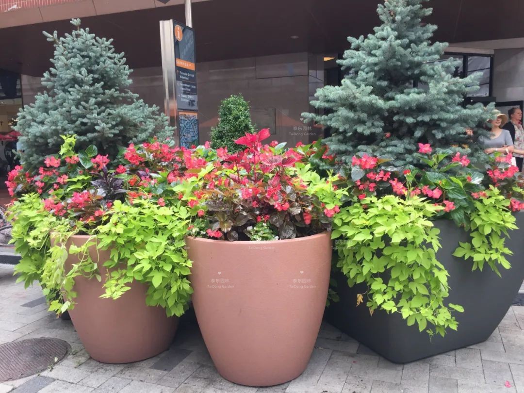 1677129455268338.jpg 花箱