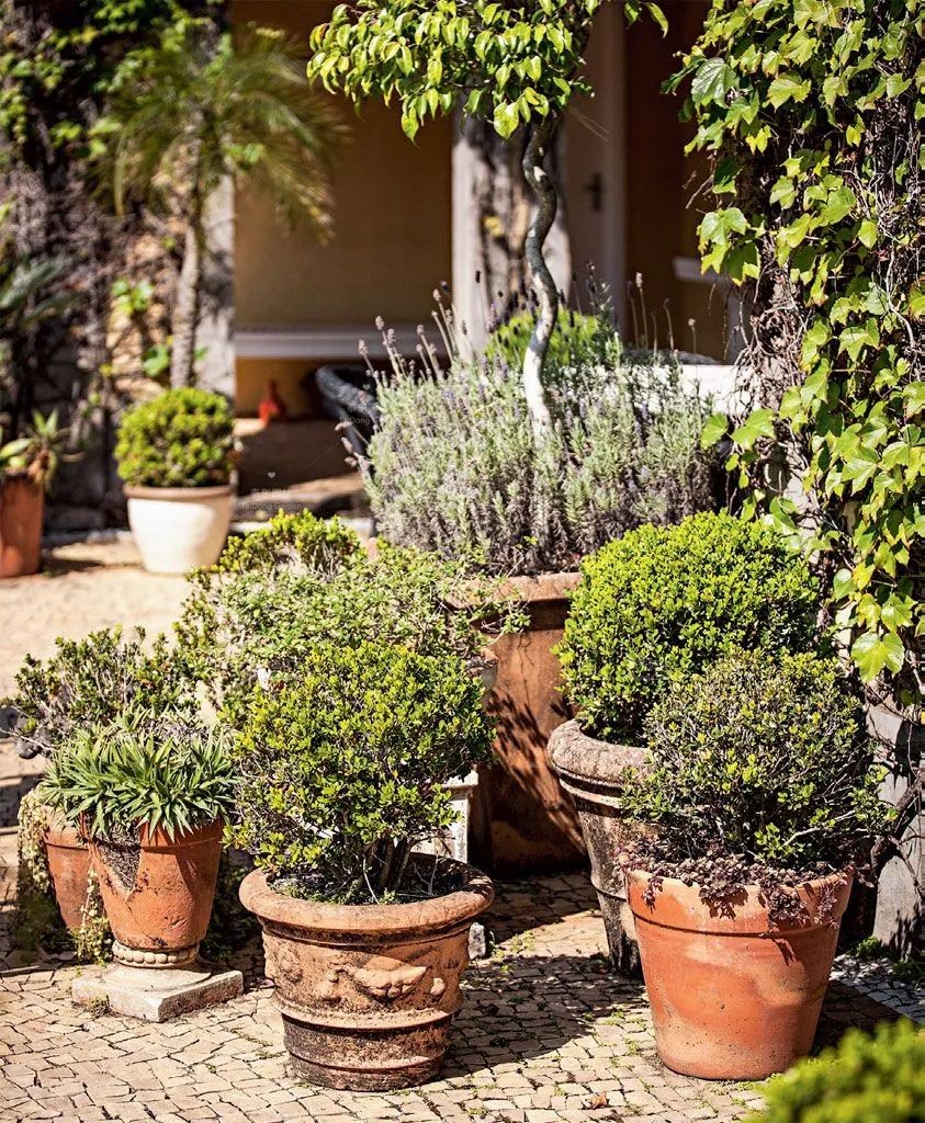 1677129455793409.jpg 花箱