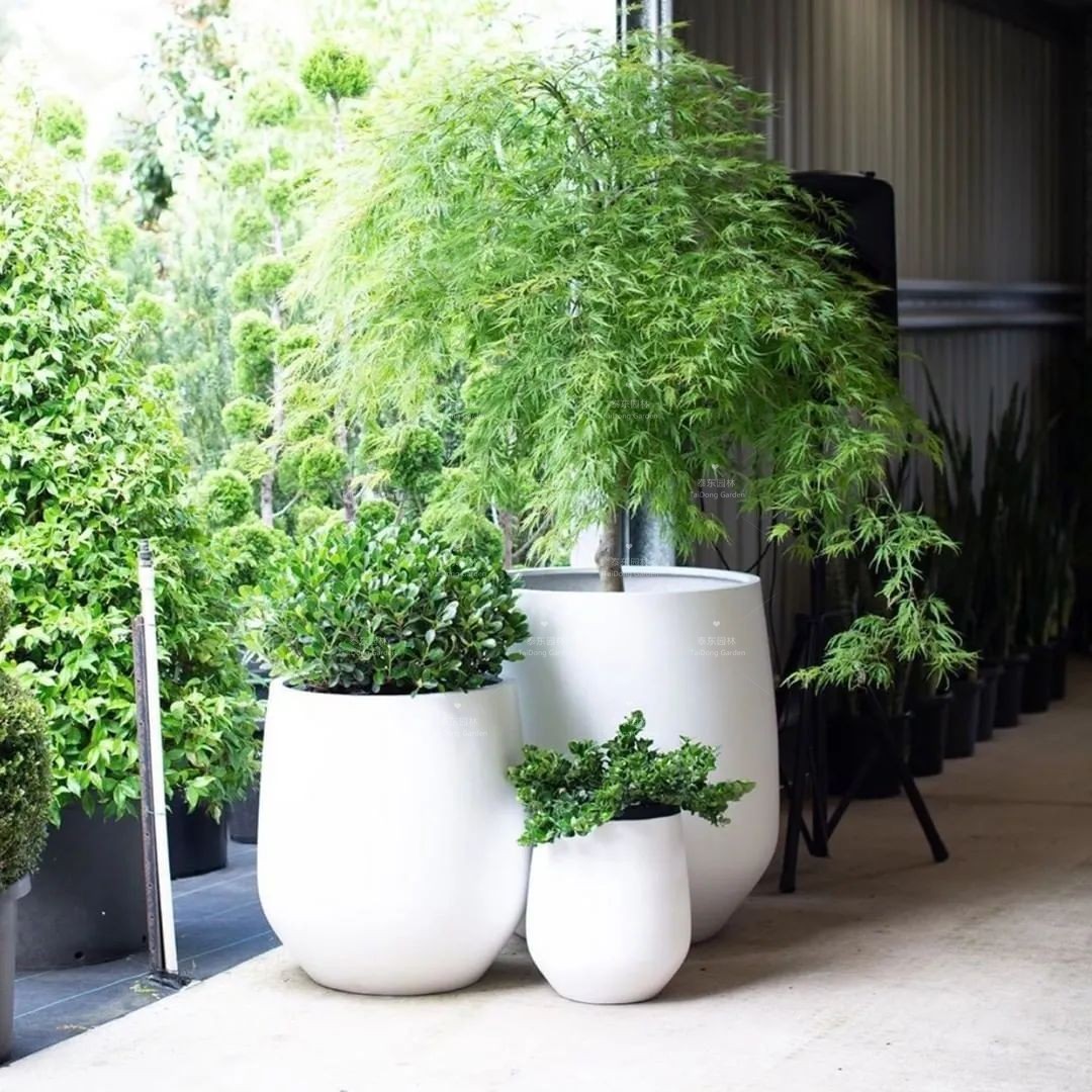 1677129607347878.jpg 花箱