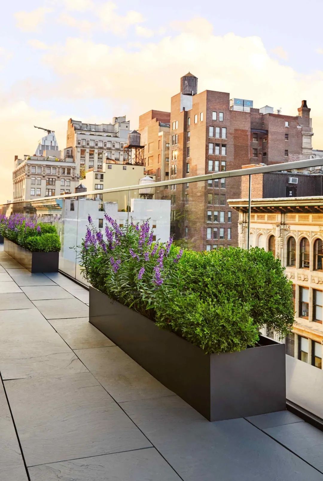 1677129660287914.jpg 花箱