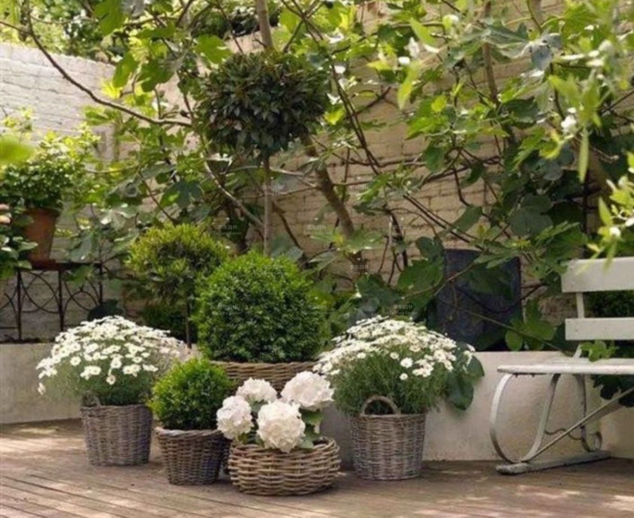 1677129808655777.jpg 花箱