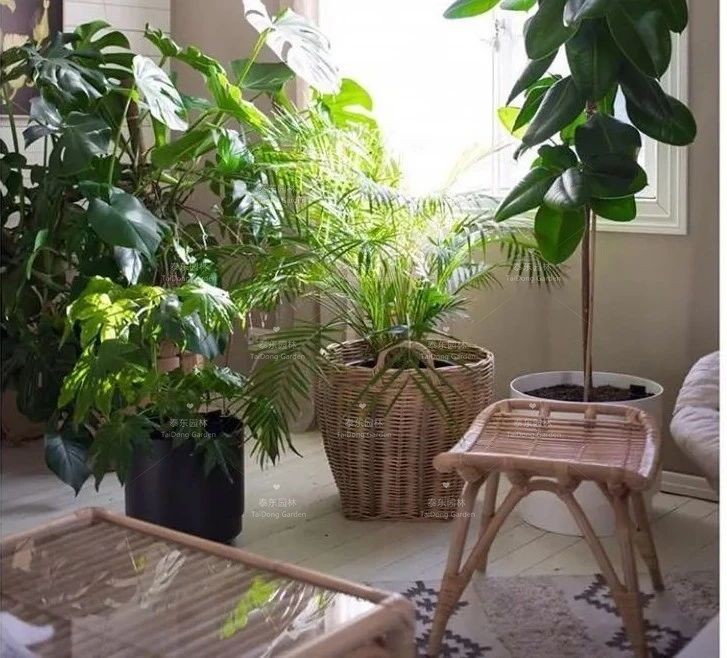 1677129808736495.jpg 花箱