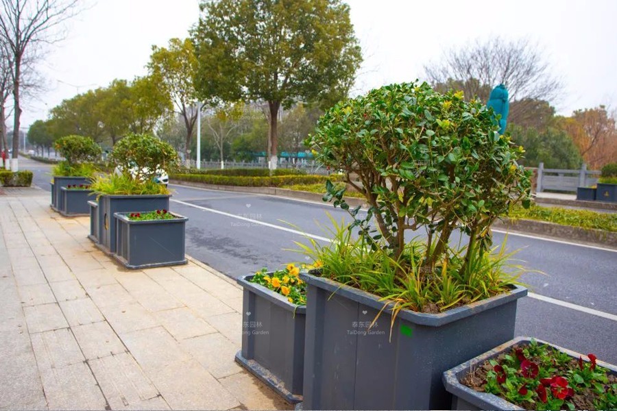 1677474766749302.jpg 花箱