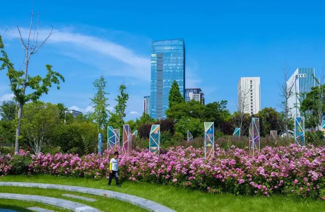 1689121947341599.jpg 花箱