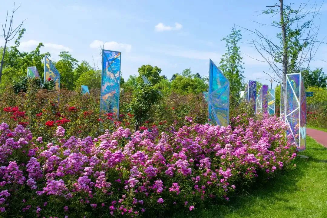 1689121947635871.jpg 花箱