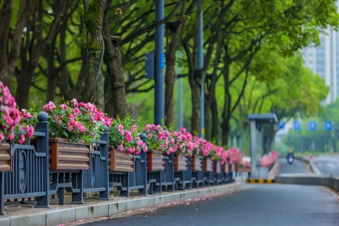 1689121947953496.jpg 花箱