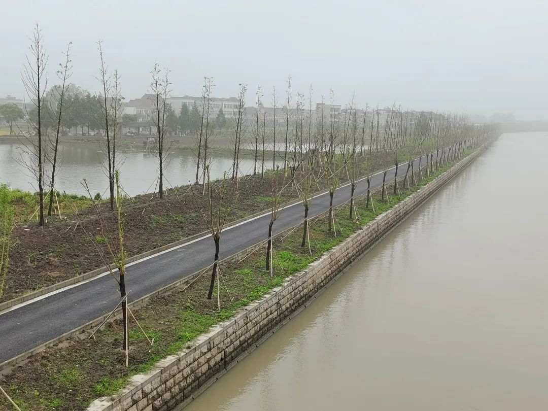 1689124570661491.jpg 花箱