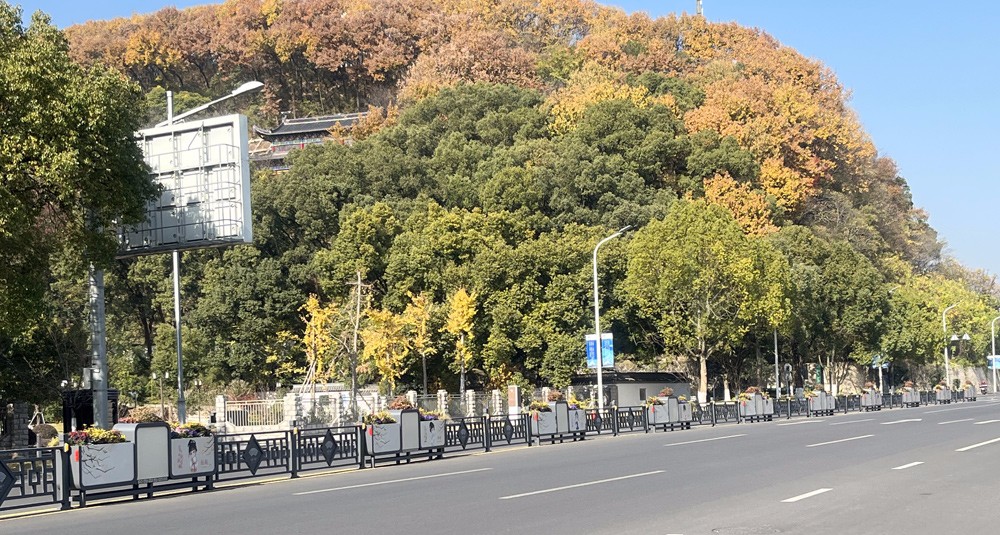 1702002812438776.jpg 花箱